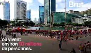 Face au risque de disparition sous les eaux, l'Indonésie veut changer de capitale
