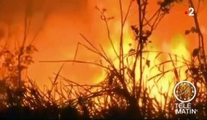 Au Brésil, les incendies ravagent la forêt amazonienne