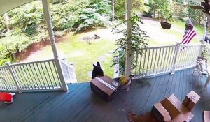 Cet ours emporte un colis posé sur le porche de la maison !
