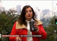 Le point sur les incendies en Amazonie