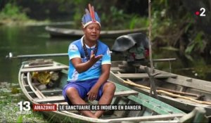 Amazonie : le sanctuaire des Indiens est en danger