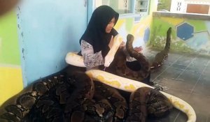 Moment tendresse entre cette femme et ses 3 pythons énormes