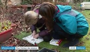 Environnement : les Français se passionnent pour les oiseaux