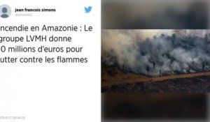 Amazonie : Le groupe LVMH donne 10 millions d’euros pour lutter contre les incendies