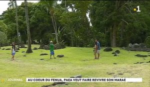 Au cœur du fenua : le marae Arahurahu