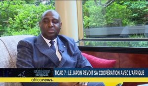 TICAD 7 : le Japon revoit sa coopération avec l'Afrique [Business africa]