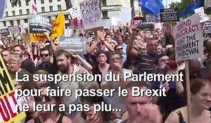Brexit: manifestation à Londres contre le "coup" de Boris Johnson