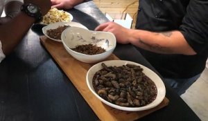 Un restaurant sud-africain sert des repas exclusivement préparés à base d'insectes