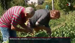Les agriculteurs, grands gagnants de la réforme des retraites ?
