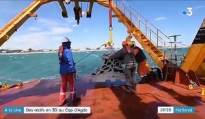 Environnement : des récifs en 3D au Cap d'Agde pour favoriser la biodiversité