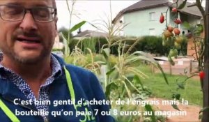Un jardinier de Haute-Savoie utilise son urine pour fertiliser ses légumes
