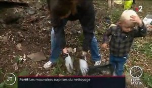 Opération de nettoyage dans l'Yonne : les habitants s'impliquent