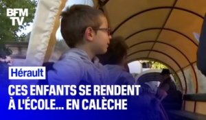 Dans l’Hérault, ces enfants vont à l’école… en calèche