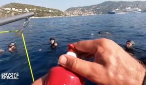 "Je rentre dans un état un peu méditatif" : quand l'apnéiste Guillaume Néry se prépare à plonger à 100 mètres