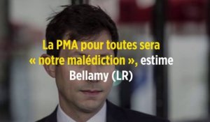 La PMA pour toutes sera « notre malédiction », estime Bellamy (LR)