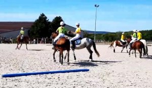 Pont-à-Mousson : démonstration de horse-ball au centre équestre Bel Air