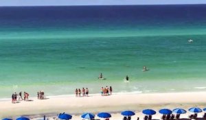 Un requin s'approche dangereusement d'une fille en bord de plage - Destin, Fl