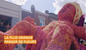 Cette parade néerlandaise met les fleurs à l’honneur