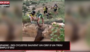Espagne : Des cyclistes sauvent un cerf d’un trou rempli d’eau (Vidéo)
