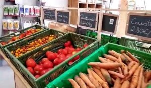 Niederstinzel : la ferme du Geroldseck crée un nouveau magasin pour vendre ses produits bios