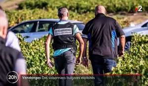 Vendanges : des ouvriers bulgares exploités dans le Rhône