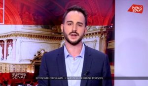 Economie circulaire : l'audition de Brune Poirson - Les matins du Sénat (24/09/2019)
