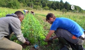 Reportage - Tero Loko : Cultiver l'accueil pour insérer et dynamiser le territoire