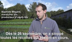 Dix jours après Lubrizol, l'inquiétude d'un maraîcher bio près de Rouen