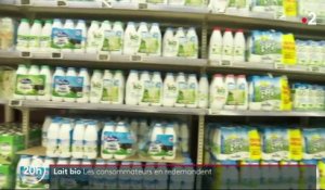 Agriculture : les producteurs de lait se convertissent au bio