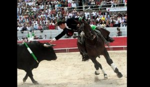 Elle milite pour abolir la corrida