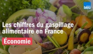 Les chiffres du gaspillage alimentaire en France