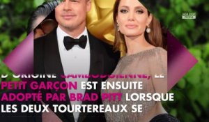 Angelina Jolie : Combien la star a d’enfants avec Brad Pitt ?