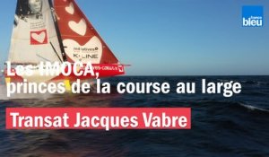 Transat Jacques Vabre : les IMOCA, princes de la course au large