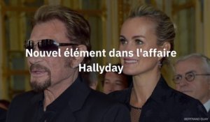 Johnny Hallyday devrait 30 millions d'euros au fisc Français