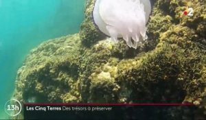 Feuilleton : les Cinque Terre, perles d'Italie (4/5)