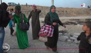Syrie : les civils fuient vers l'Irak