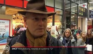 Les voyageurs SNCF perdus face aux annulations surprises des trains pendant tout le week-end