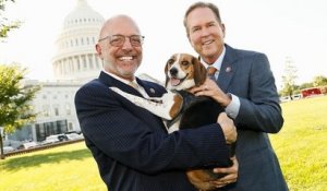 Aux États-Unis, la Chambre des représentants a adopté un projet de loi qui ferait de la cruauté envers les animaux un crime fédéral