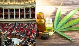 Le cannabis thérapeutique autorisé par l'Assemblée nationale pour une durée de deux ans