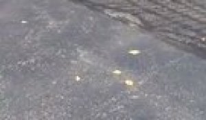 Un Gros Costaud Se Fait Ridiculiser Par Une Femme En Bodybuilding Sur Orange Videos