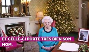 Le jour où la reine Elizabeth a dû jeter 30 robes à la poubelle car souillées par la pluie