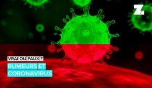 Vrai ou faux : ces rumeurs autour du coronavirus