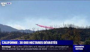 En Californie, les incendies ont ravagé plus de 30.000 hectares en une semaine