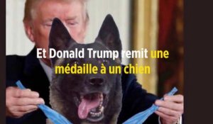Et Donald Trump remit une médaille à un chien