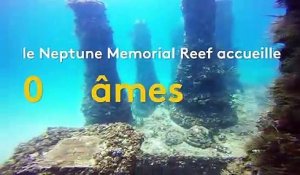 Floride : un cimetière sous-marin accueille 700 âmes