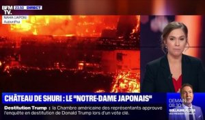 Japon: le Château de Shuri détruit par les flammes - 31/10