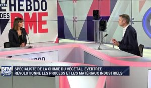 L'Hebdo des PME (1/6): entretien avec Nicolas Masson, Evertree - 02/11