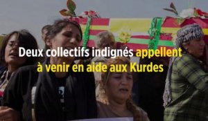 Deux collectifs indignés appellent à venir en aide aux Kurdes