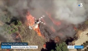 Californie : dix jours de bataille contre les flammes