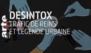Trafic de reins et légende urbaine | 04/11/2019 | Désintox | ARTE